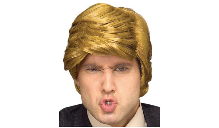 Donald Trump Billionaire Wig