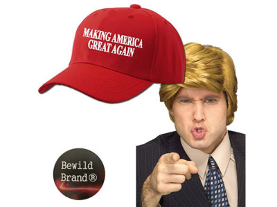 Halloween Costume Wig & Hat