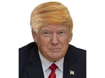 Funny Donald Trump Wig