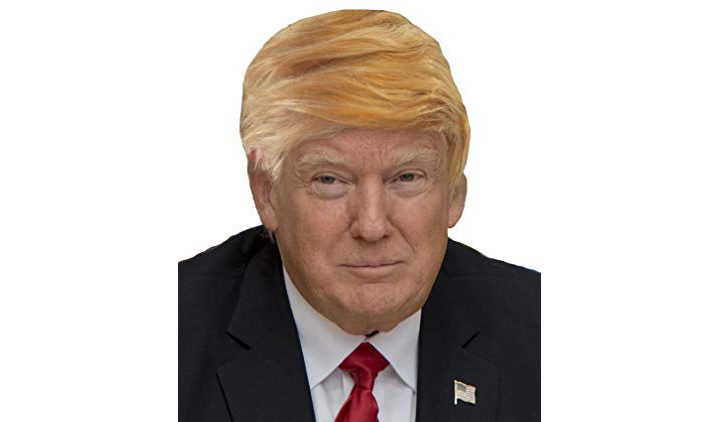 Funny Donald Trump Wig